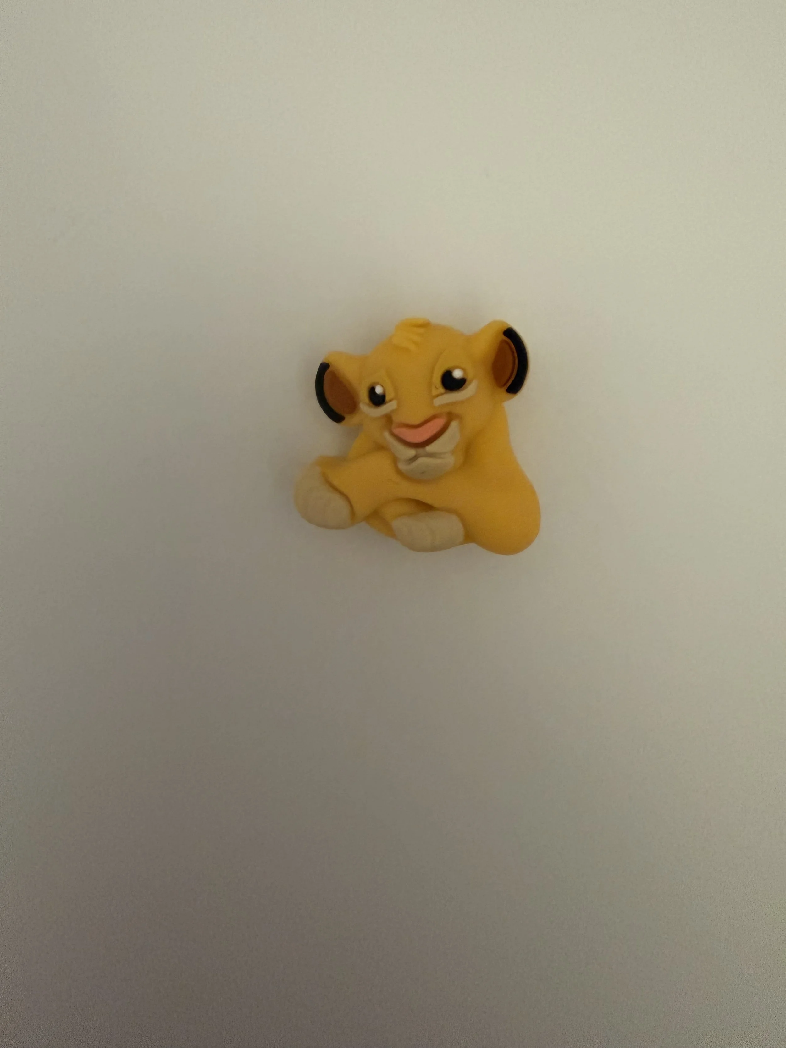 IMG_9585.jpeg