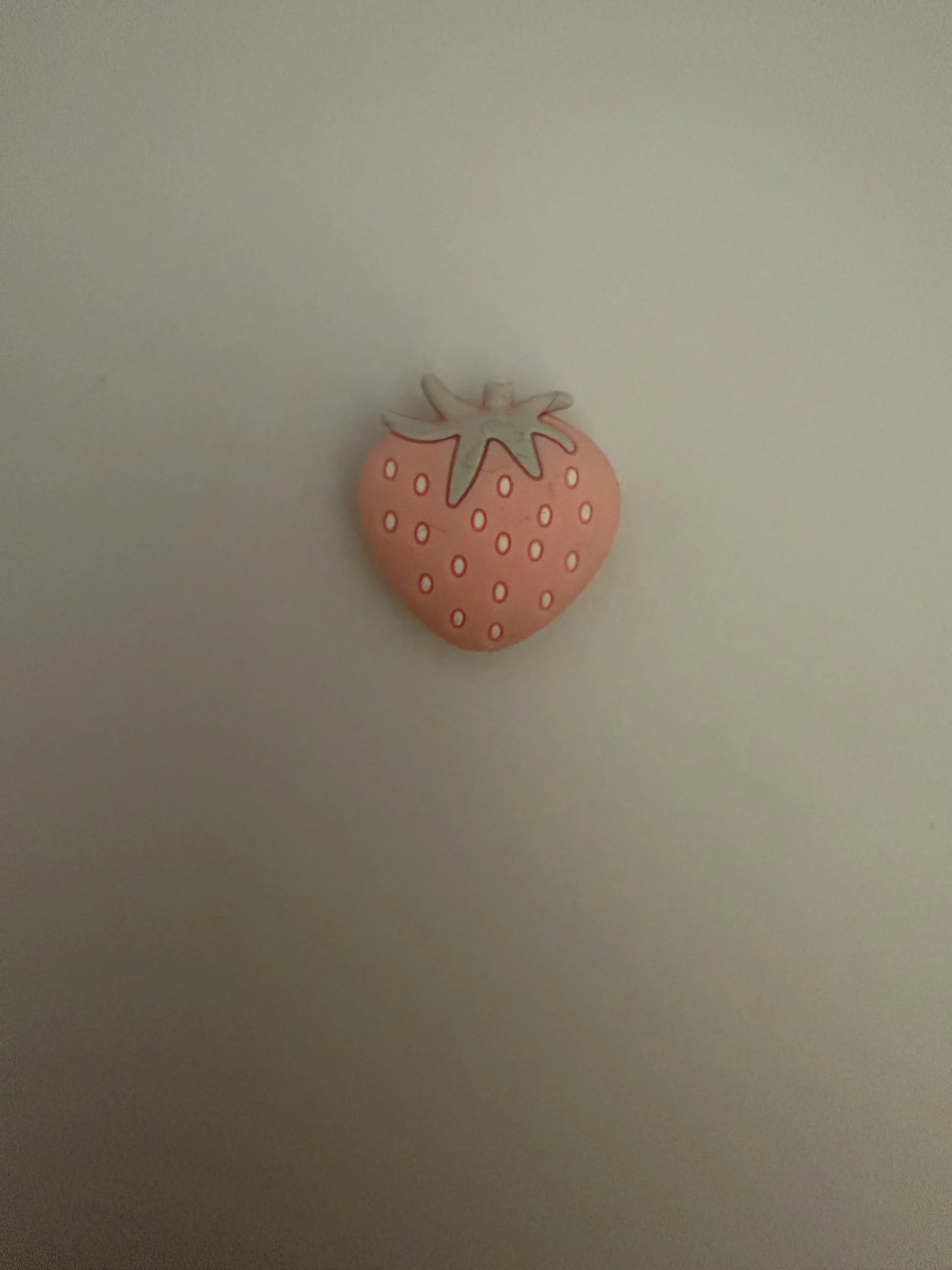 IMG_8084.jpeg