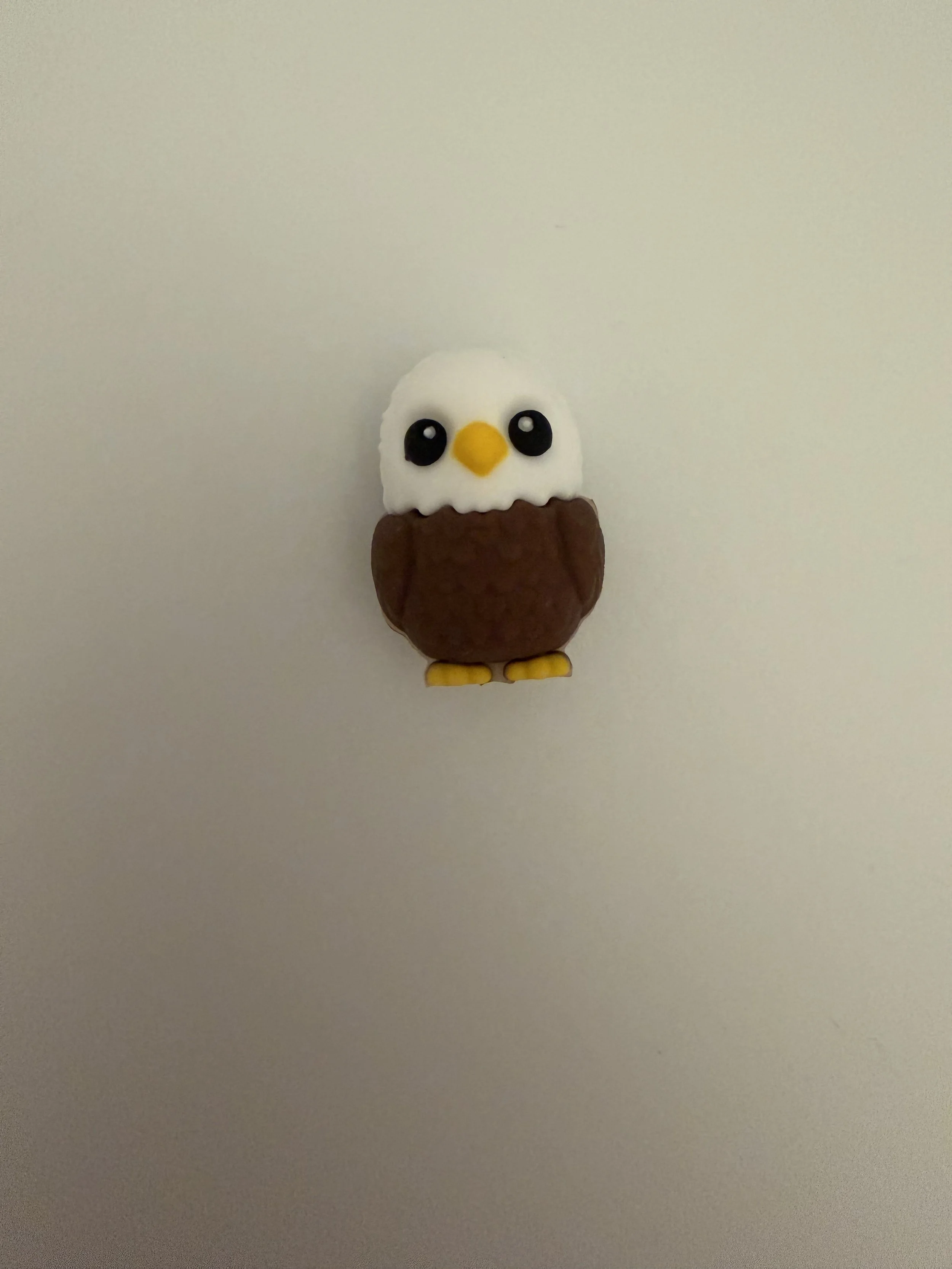 IMG_8062.jpeg