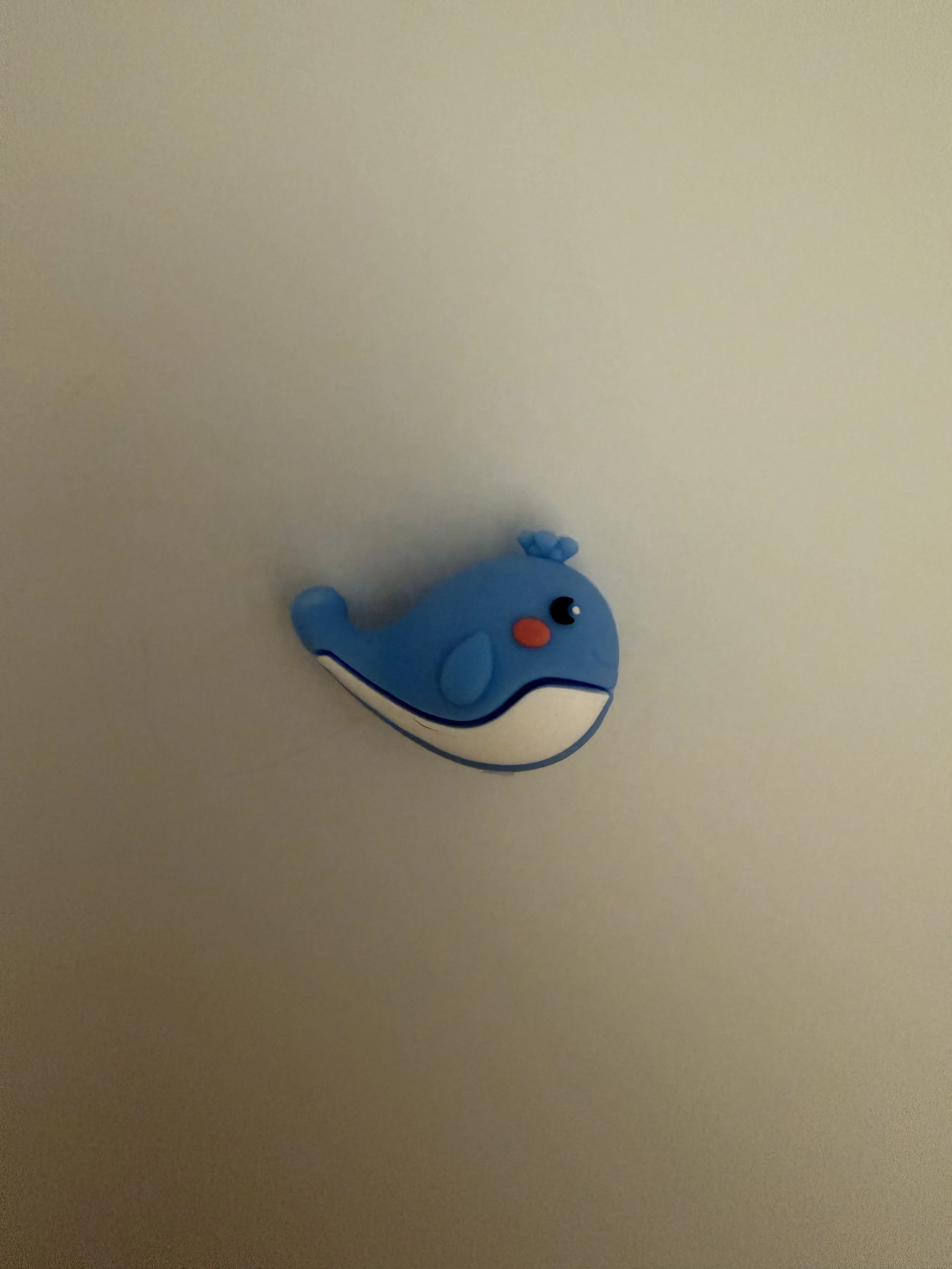 IMG_8037.jpeg