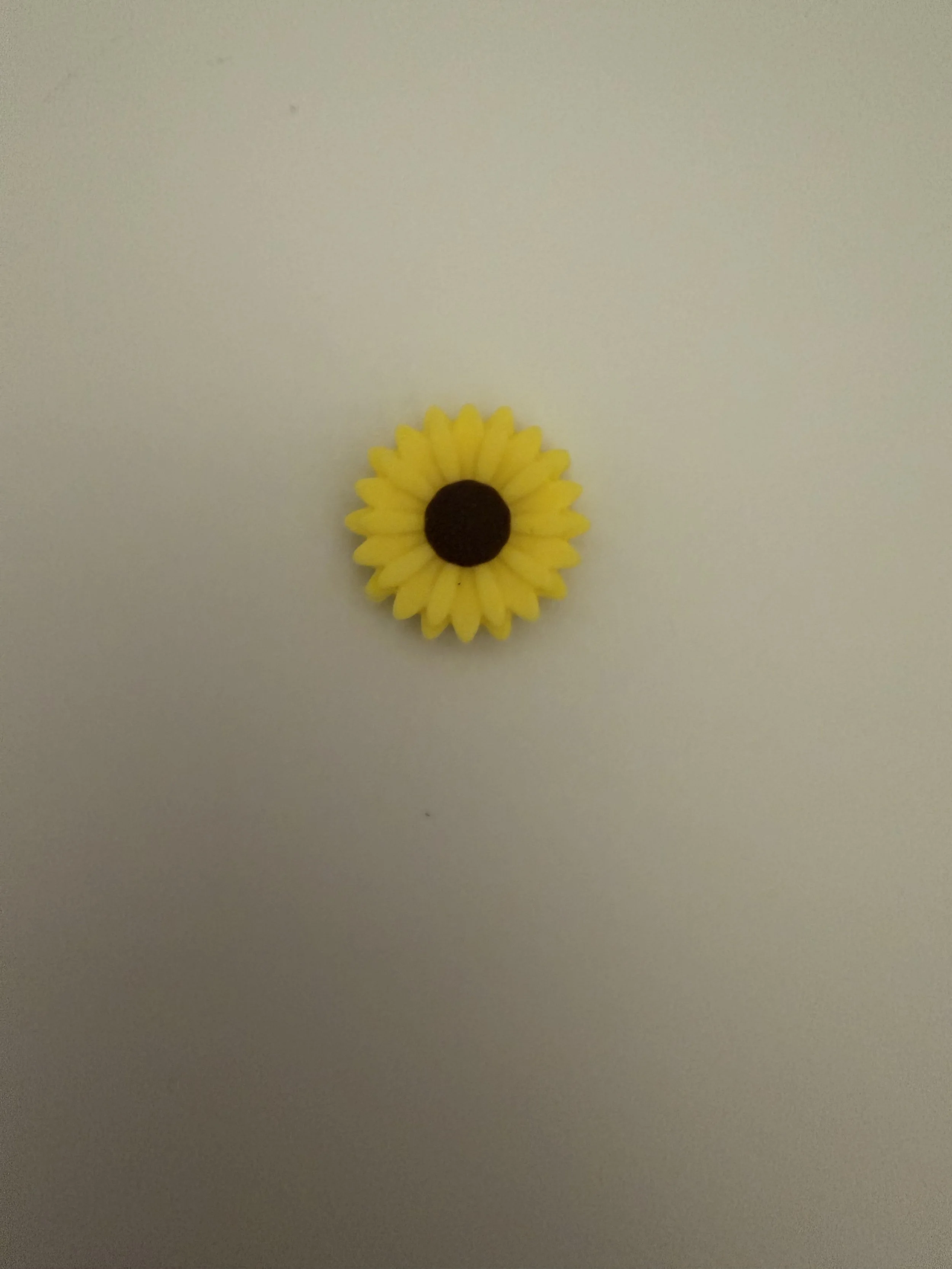 IMG_9488.jpeg