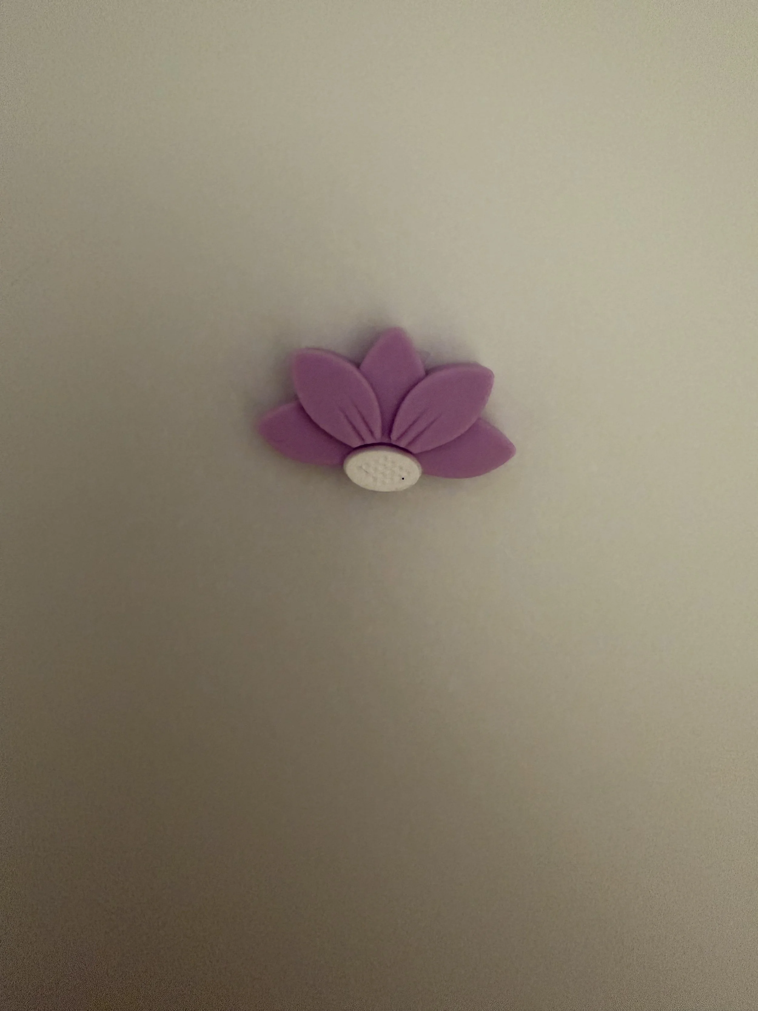 IMG_8106.jpeg