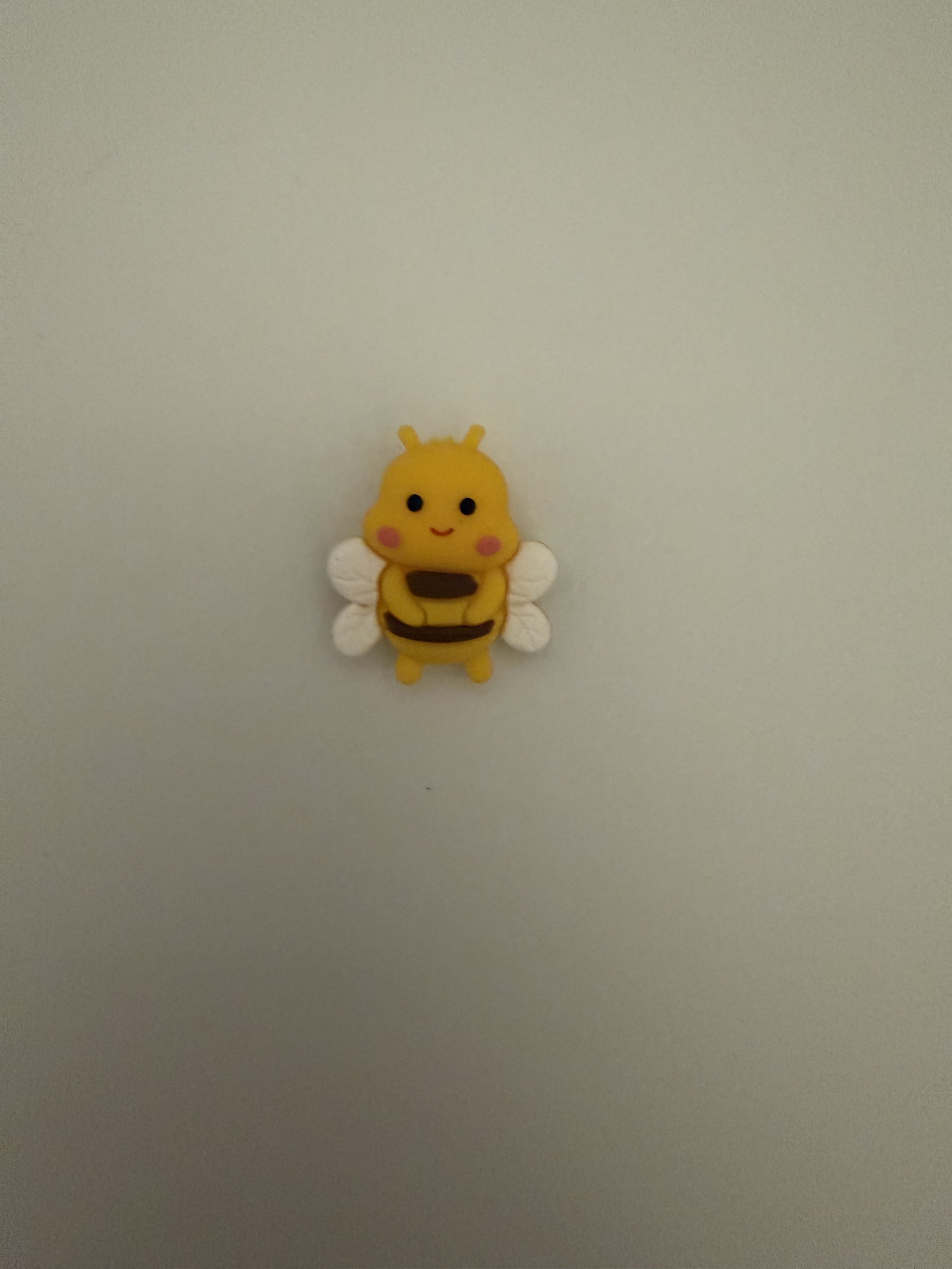 IMG_9486.jpeg