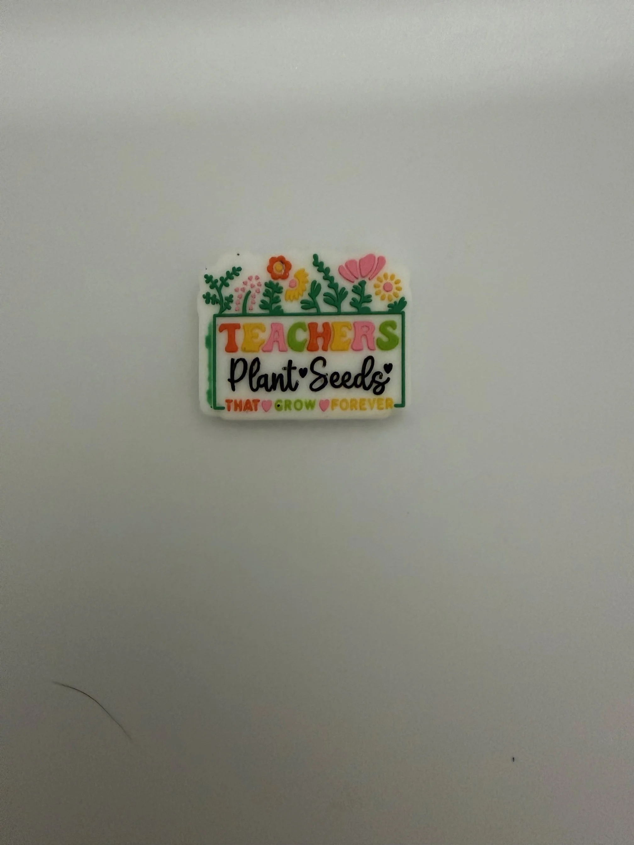 Teachers plant seeds