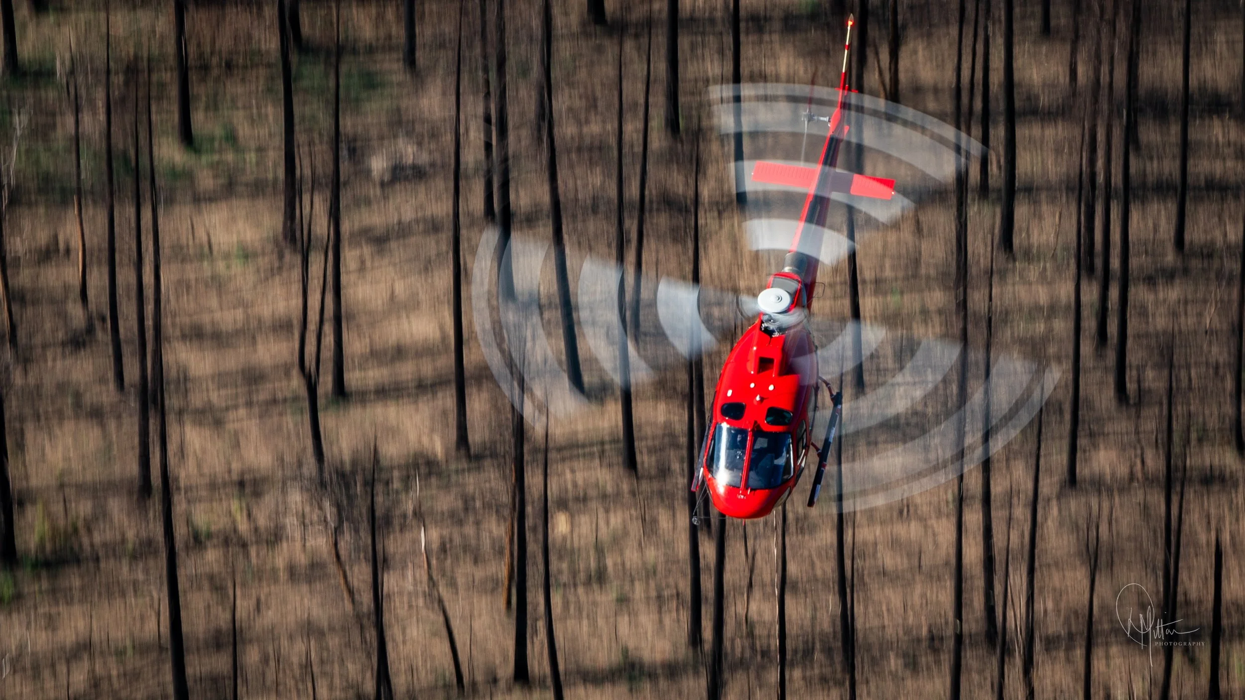 Red helicopter flying above a burned forest during aerial firefighting and post-fire response operations.