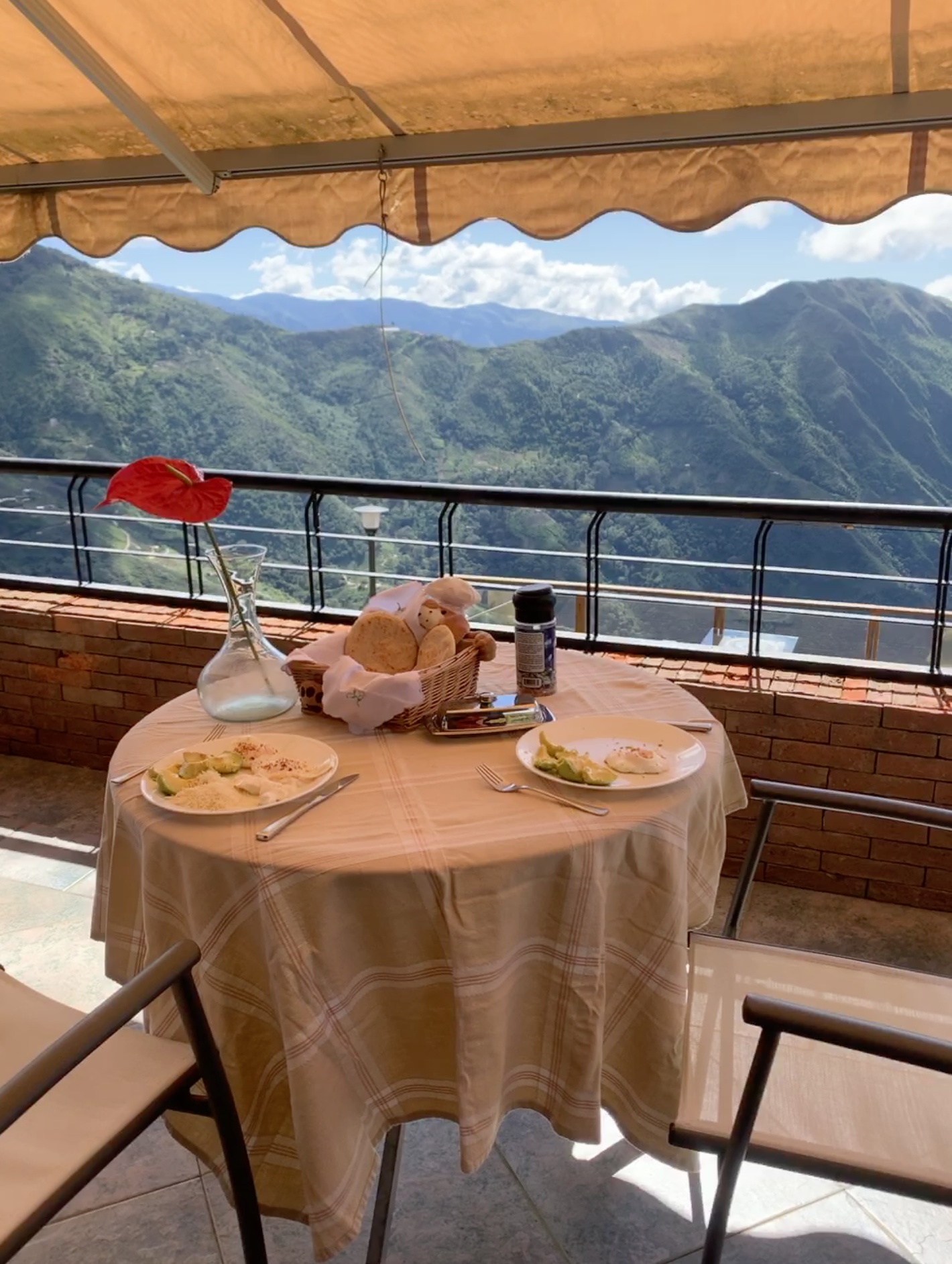 CAPTURARAUL 2026-01-01 a las 2.46.25 p. m..png