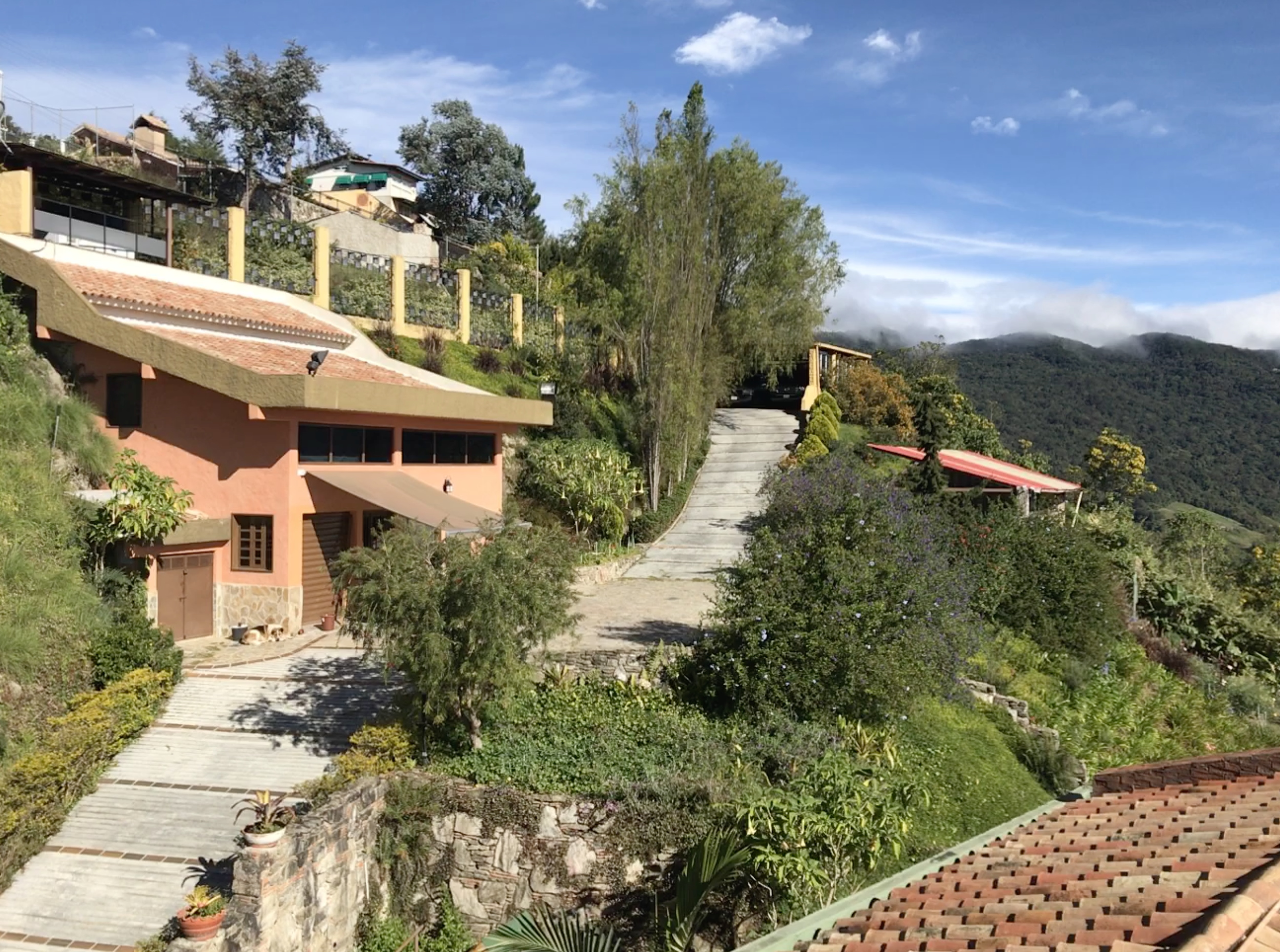 CAPTURARAUL 2026-01-01 a las 2.48.48 p. m..png