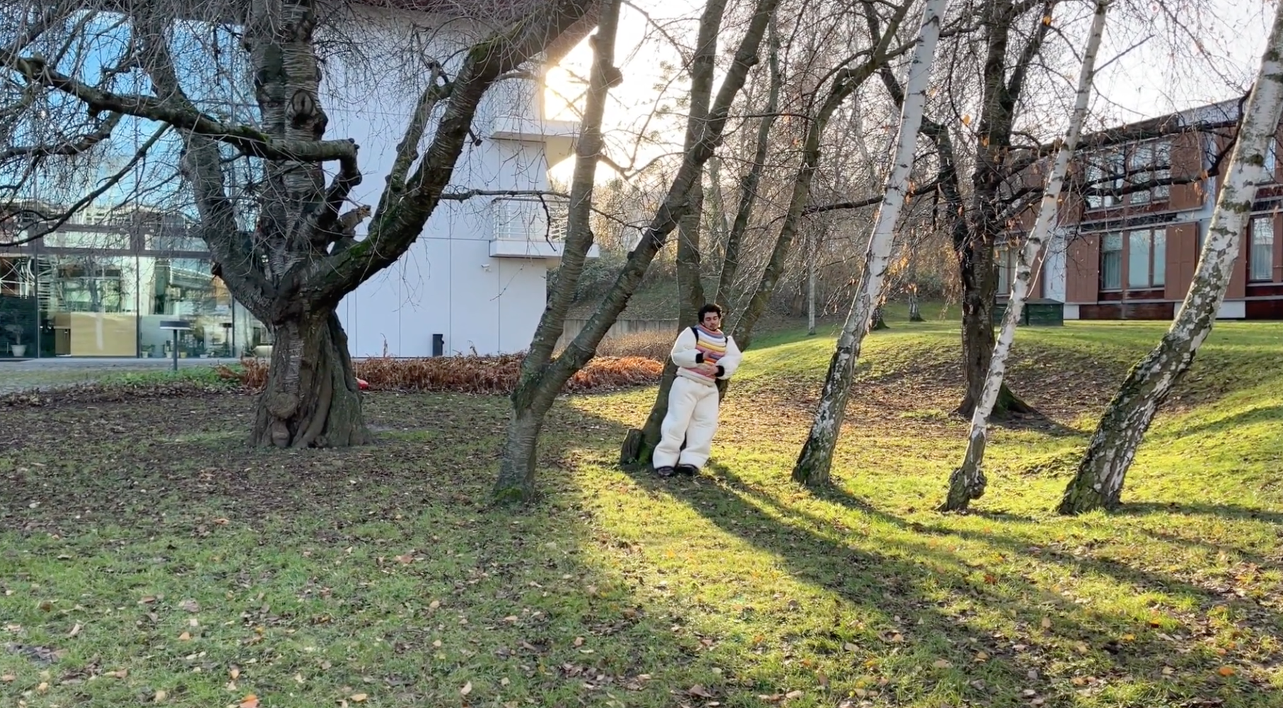 Manual to Caress Flowers.