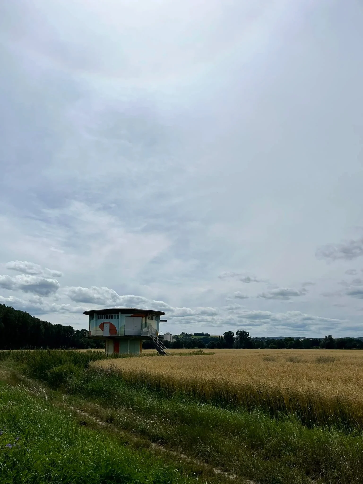 Cualquier otra semilla