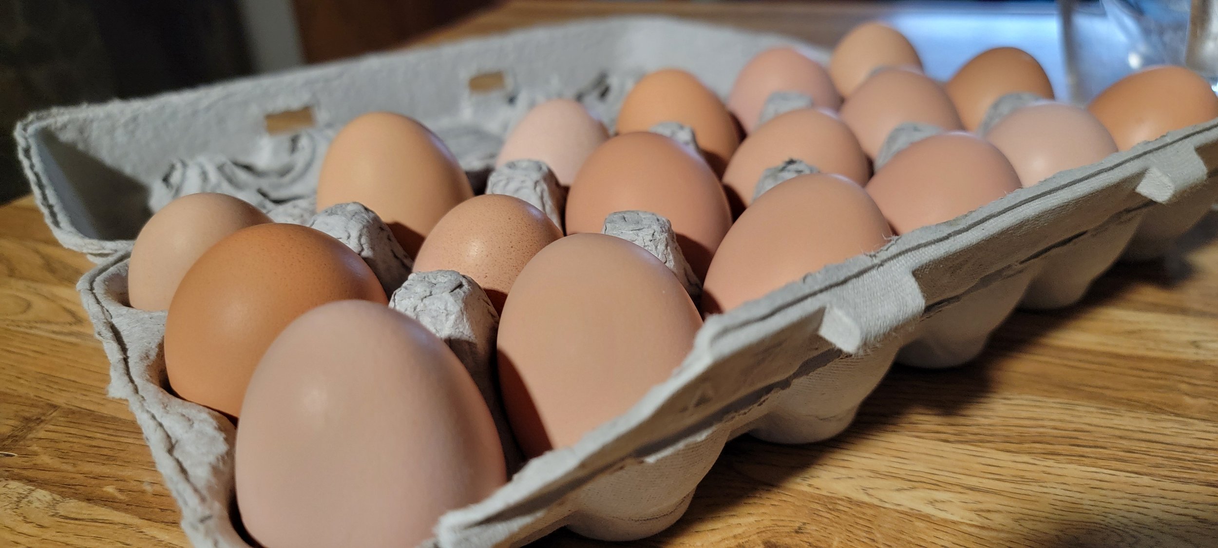 Farm Fresh Eggs