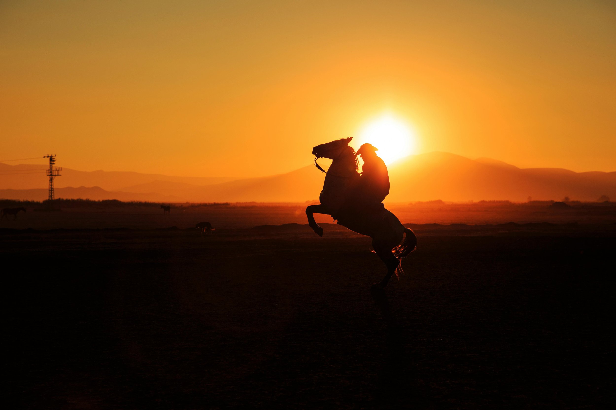 Silhouette of a person riding a rearing horse against a sunset with mountains and power lines in the background.