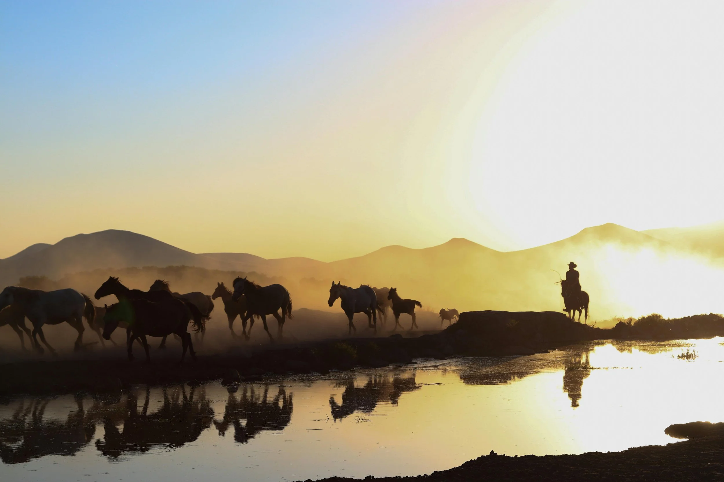 Silhouette of a cowboy on horseback and a herd of horses crossing a river at sunset with mountains in the background.