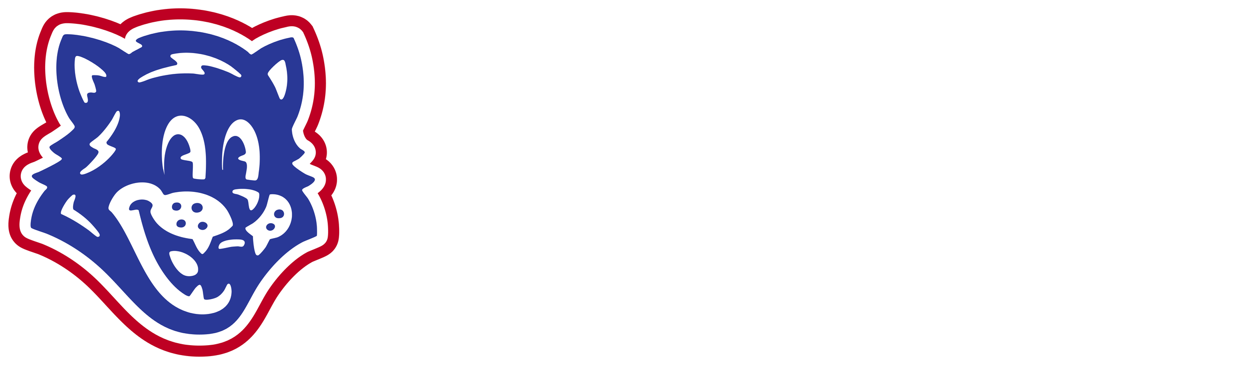 Wildcat Wash logo featuring a blue wildcat head with white facial features and a red outline, accompanied by the text 'WILDCAT WASH' in bold white capital letters.