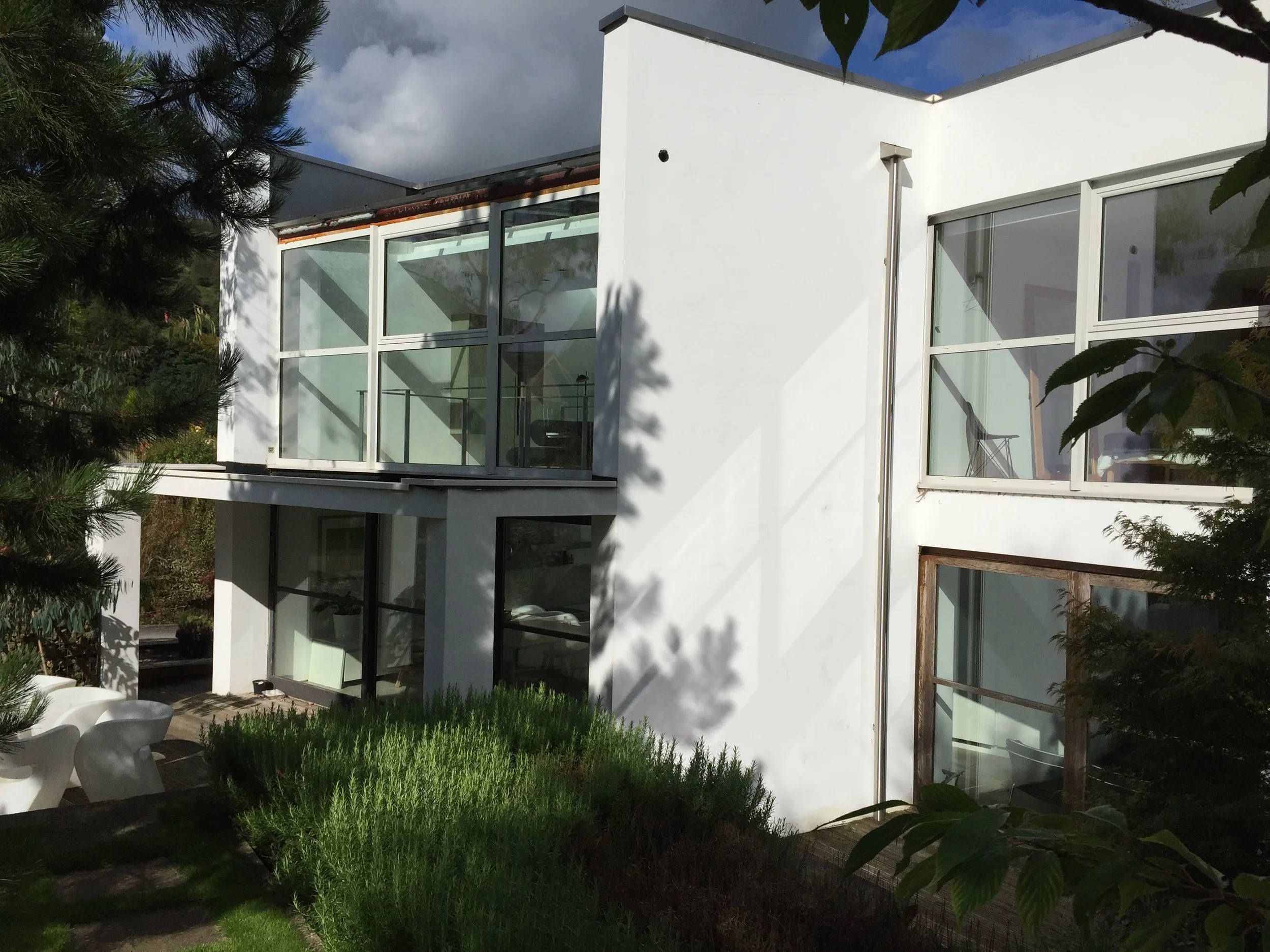 Modern white house with large glass windows and shrubs in the garden.