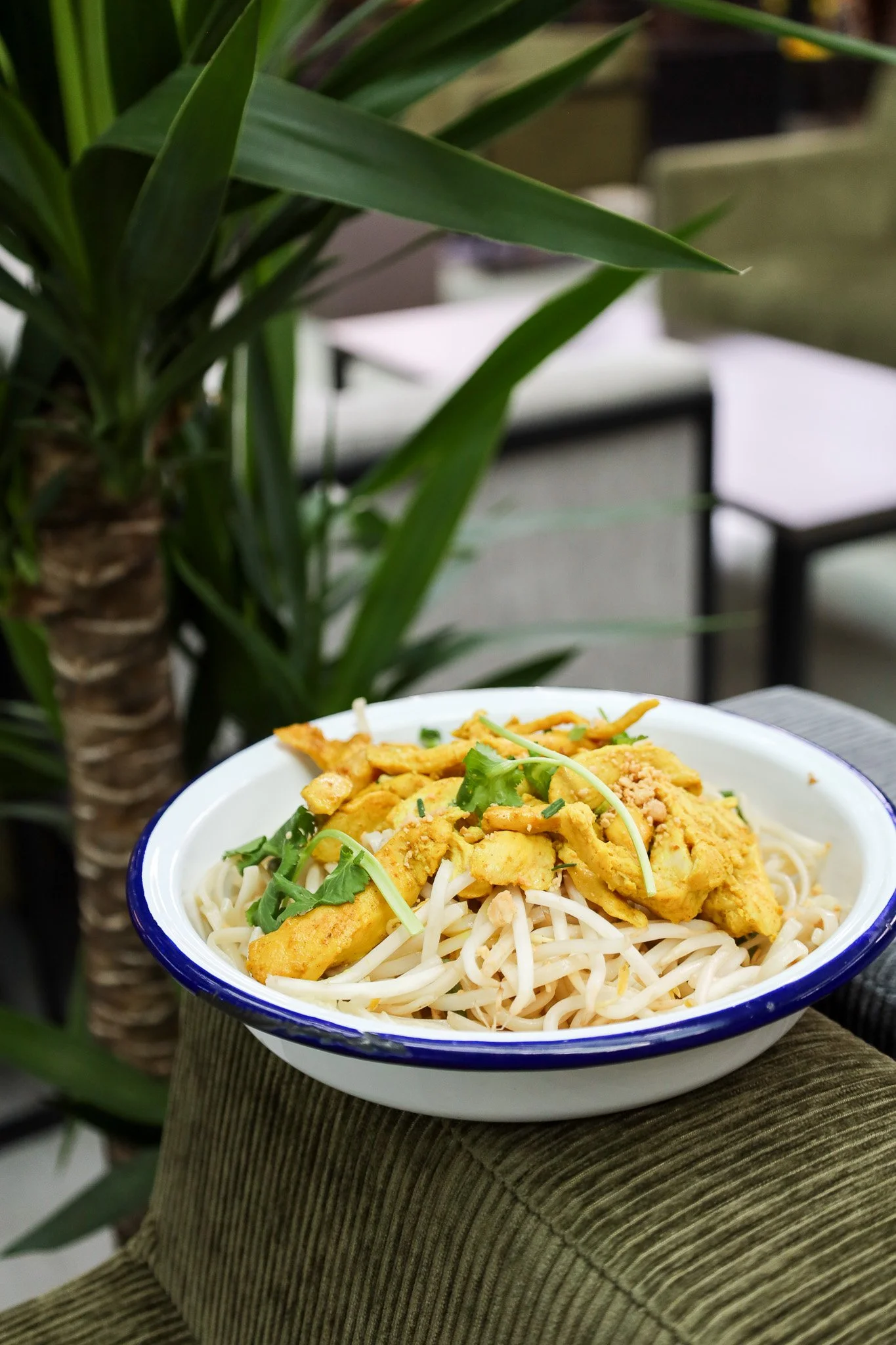 Bol de nouilles avec poulet frit et garnitures vertes, placé sur un morceau de tissu vert, avec des plantes en arrière-plan.