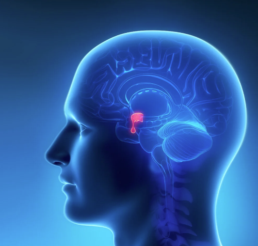 pituirary, endocrine, management, endocrinologist, medications,