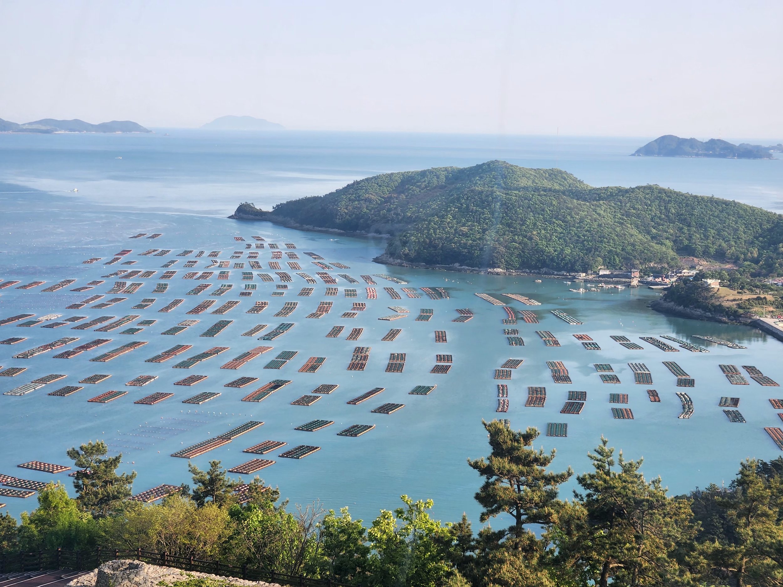 A scenic view of a coastal area with numerous floating fish farms or cages on the water, surrounded by green trees and hilly islands in the background.