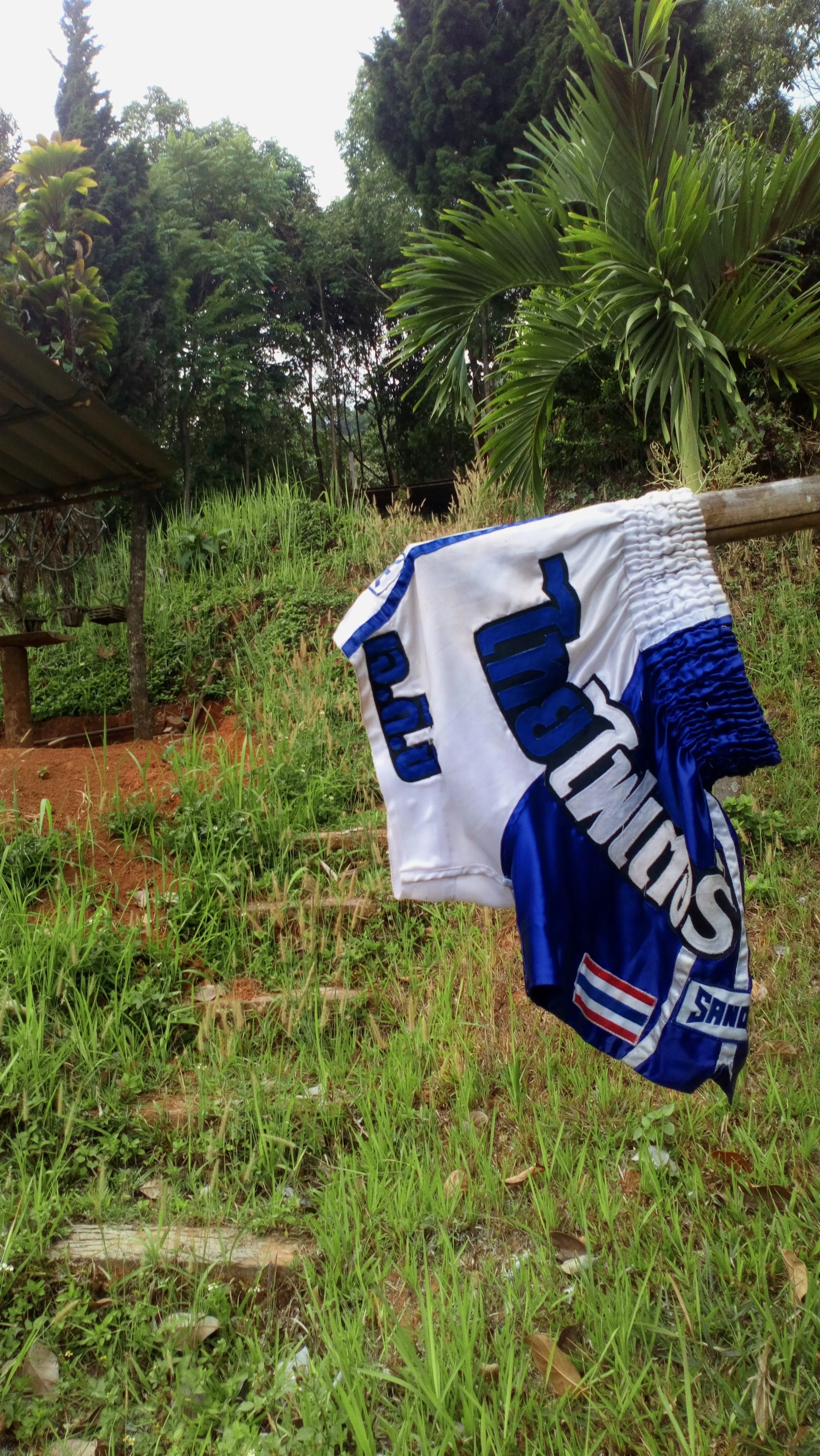 What Gear Do You Need for Your First Muay Thai Class?