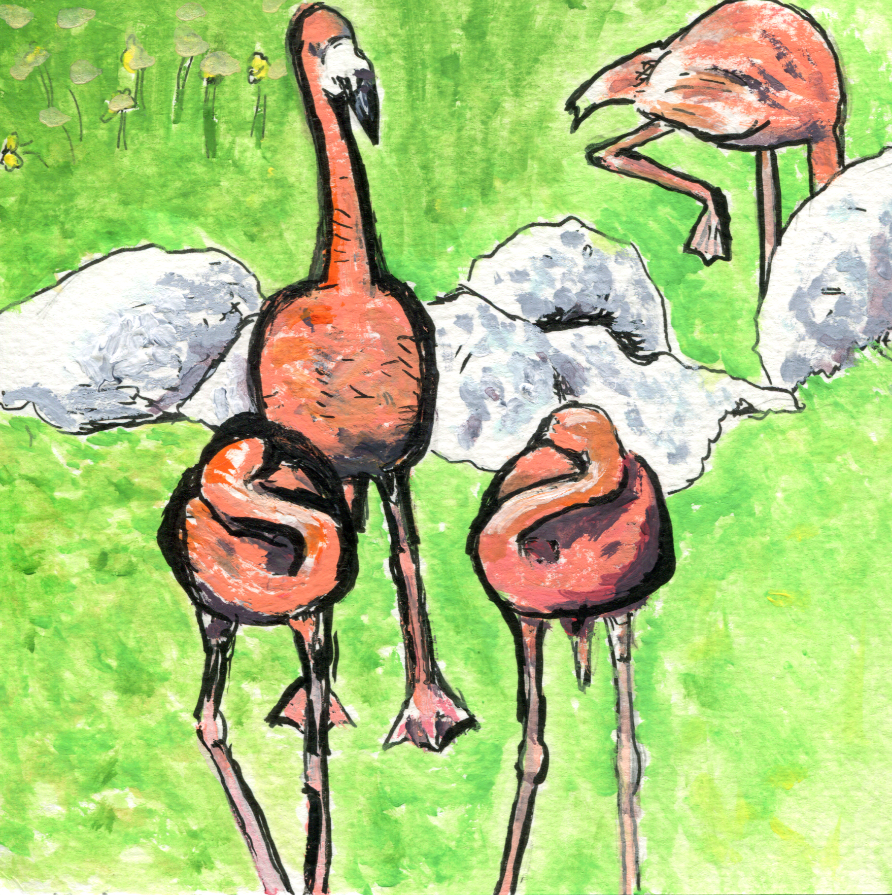 animalspg9flamingos.png