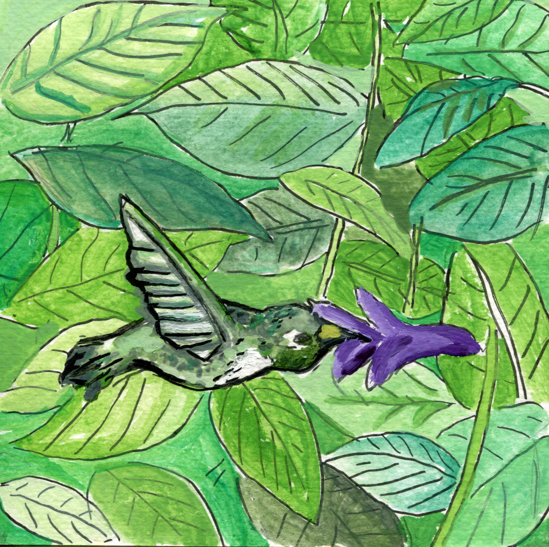 animalspg8hummingbird.png