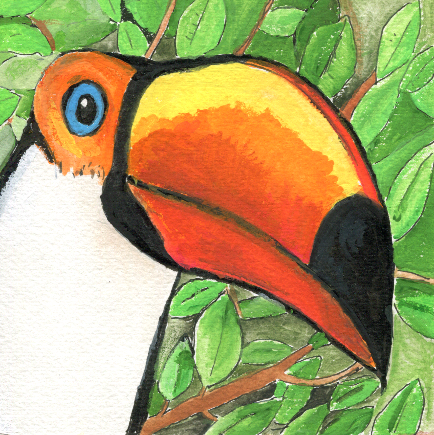 animalspg11toucan.png