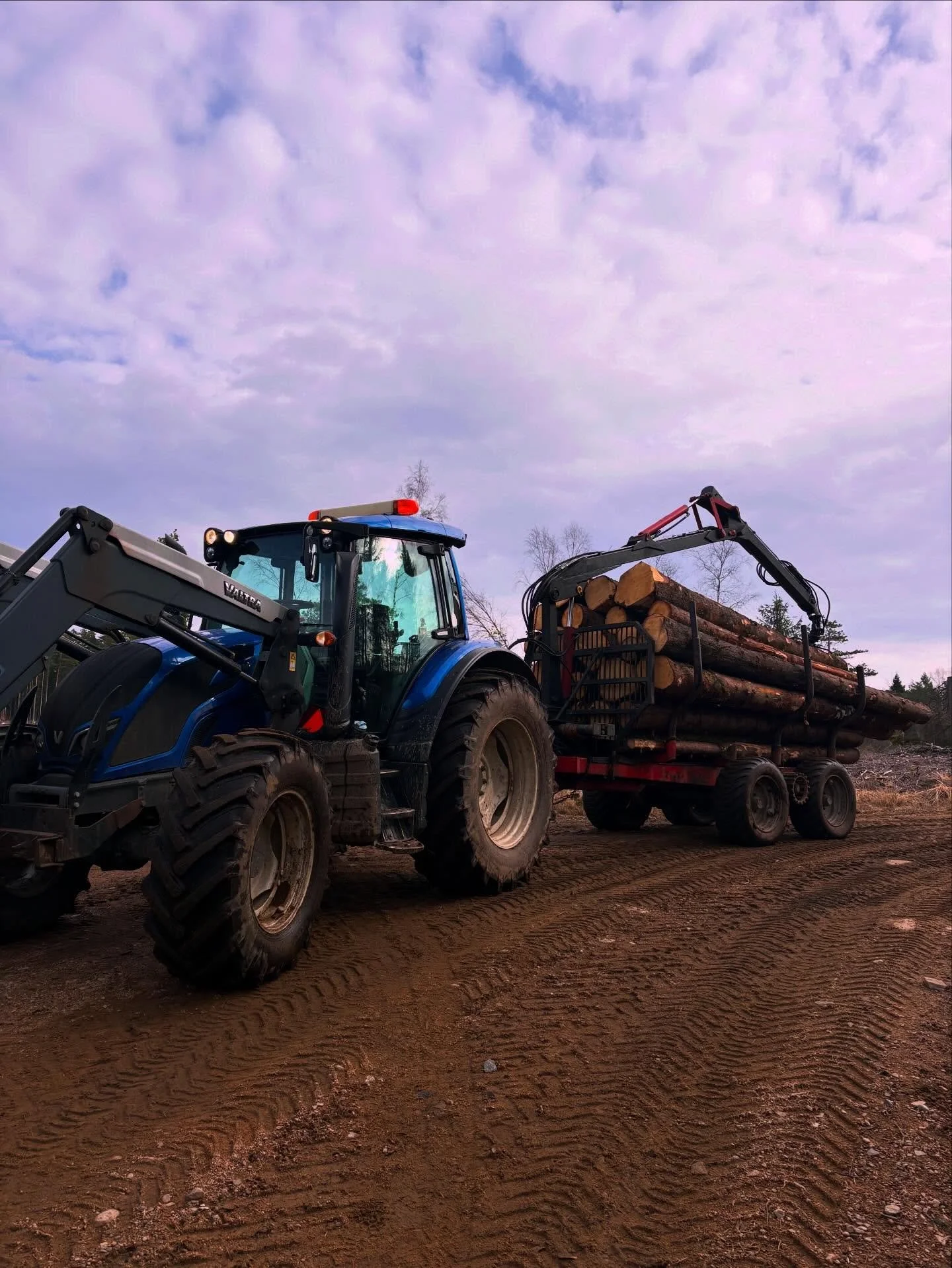 Timmerk&ouml;rning ✅ 🪵 #valtra#weimer#lumberjack