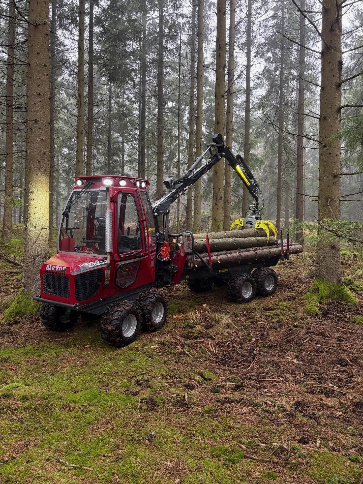 Lite vindf&auml;llor h&auml;mtade 🌲✅#lumberjack#alstor#hsp