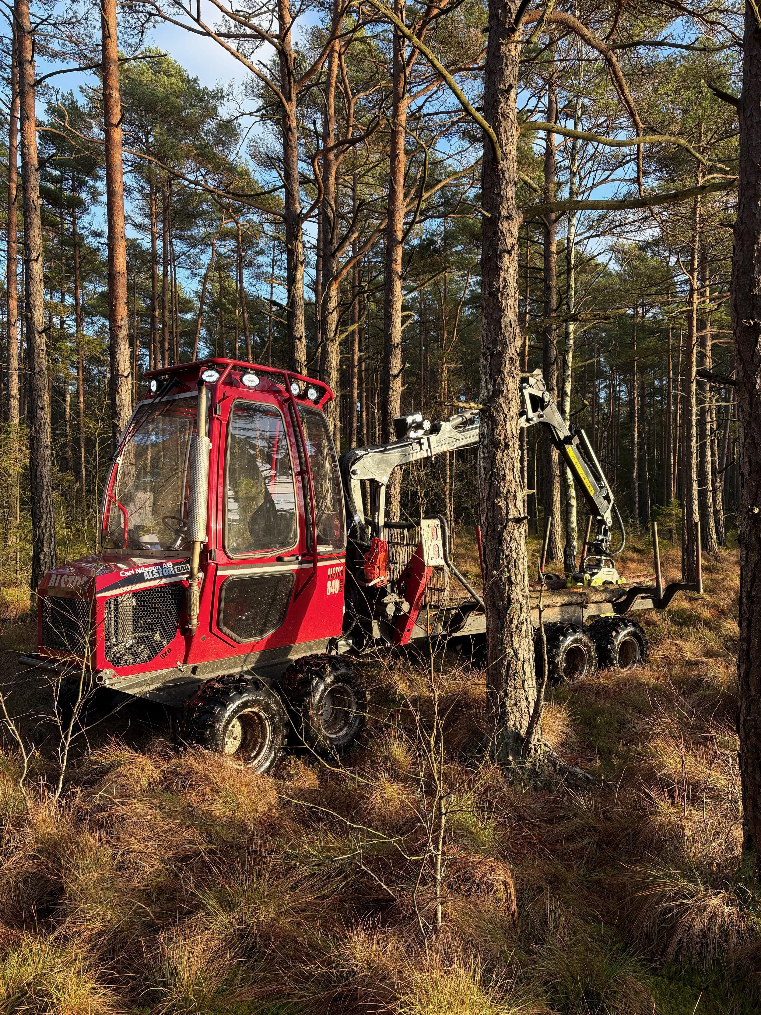 Ett rött bandgående skogsfordon med kranfäste i en skog med höga träd och mossig mark.