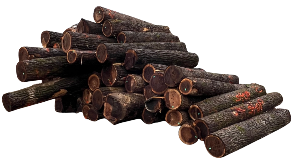 Stack of cut logs of wood arranged in a pile.