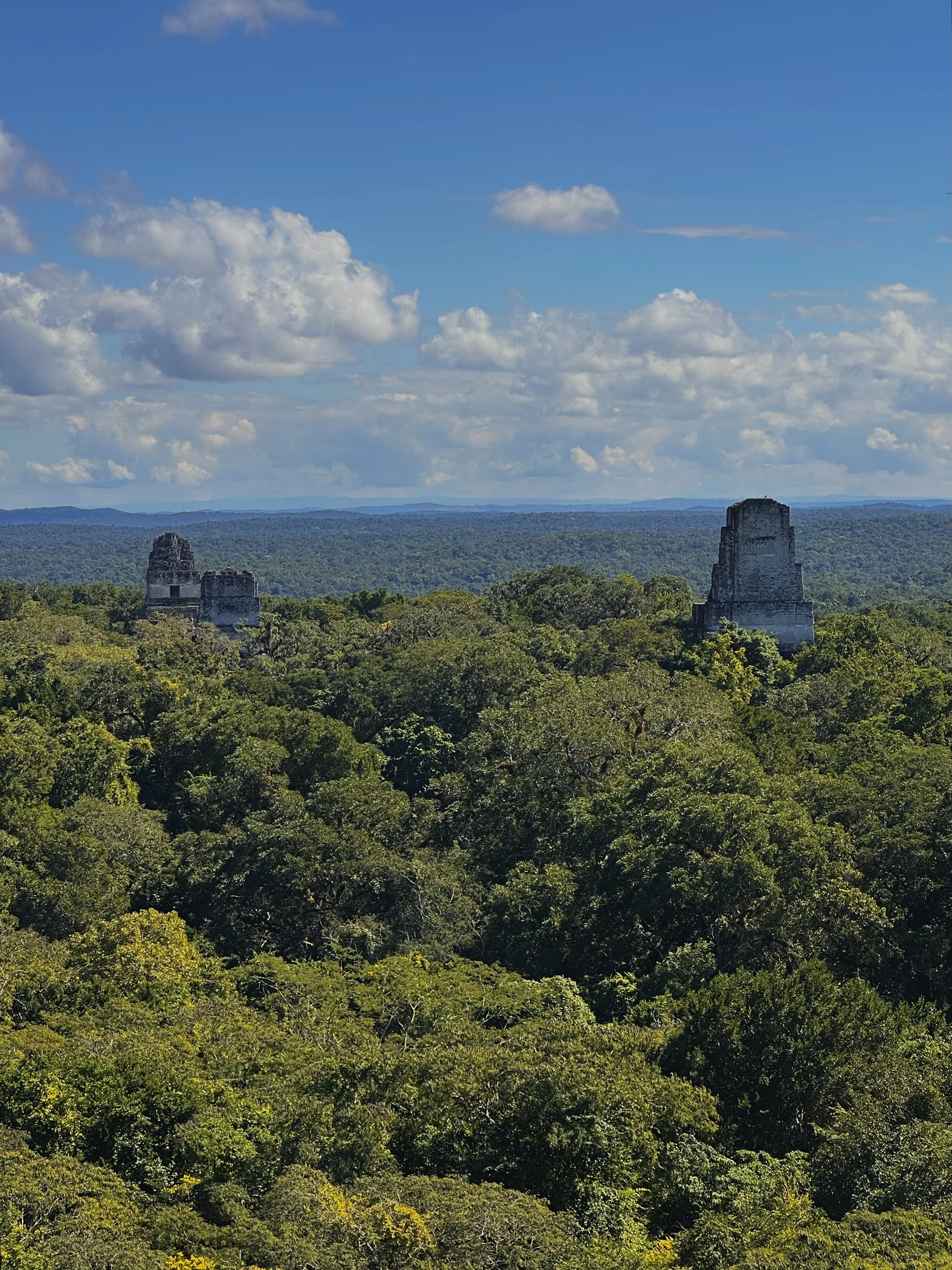 tikal13.jpg