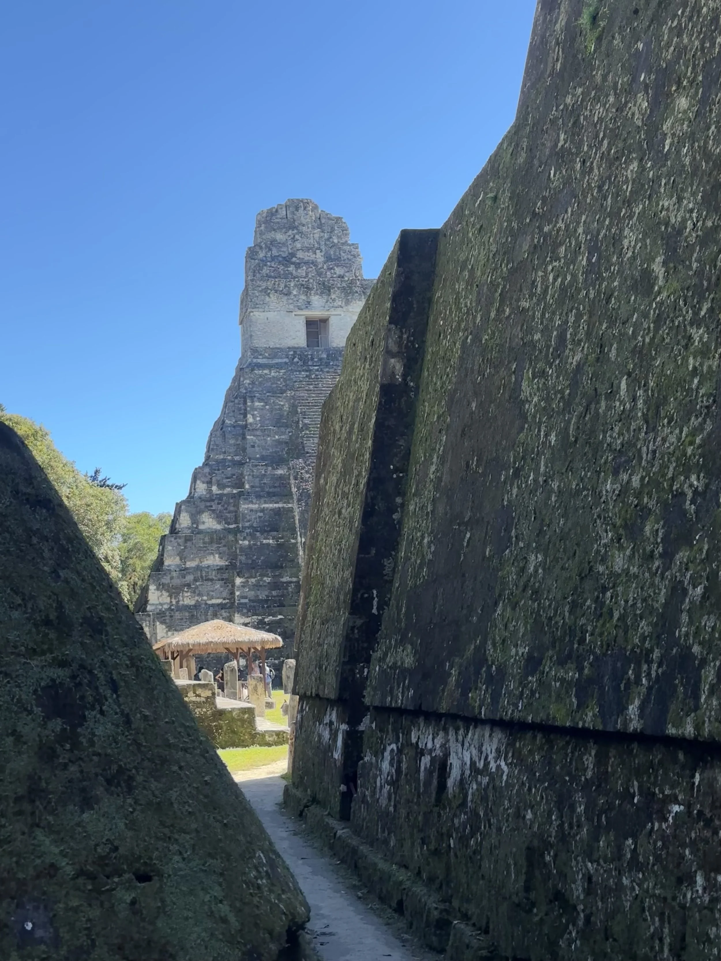 tikal19.jpg
