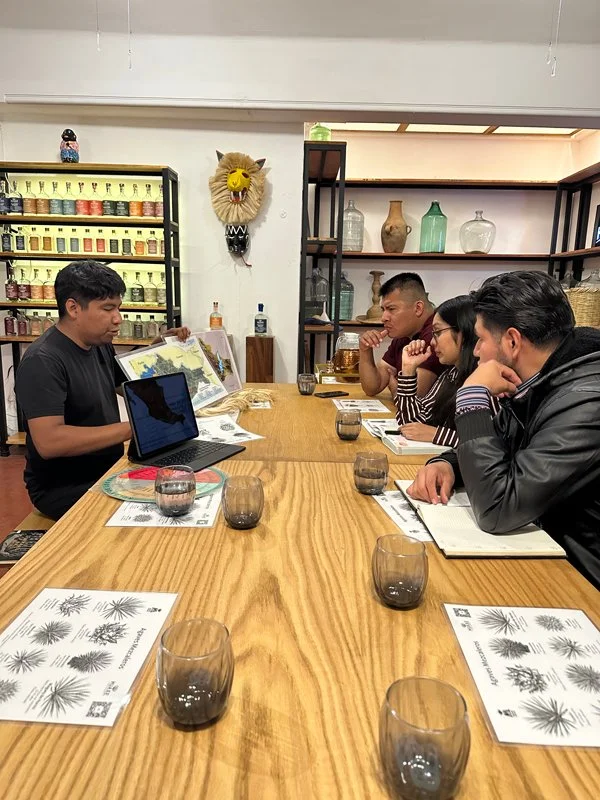 Grupo de cinco personas en una mesa de madera en una tienda o museo, con un hombre explicando mapas o fotografías imprimidas a los demás, en un ambiente decorado con cerámicas y una cabeza de animal en la pared.