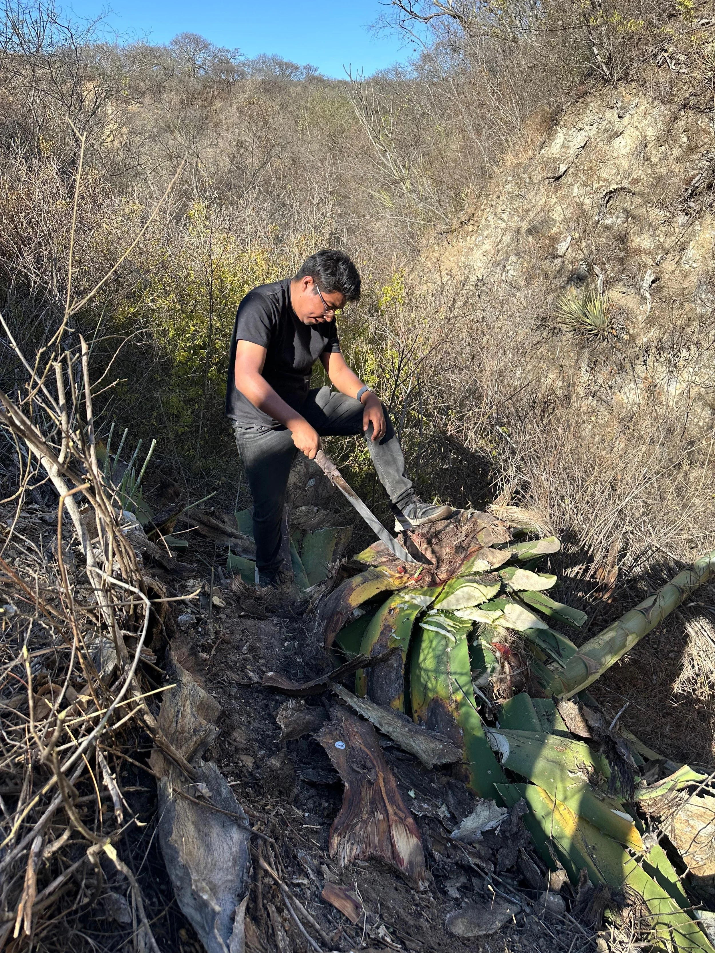 WhatsApp Image 2026-02-20 at 09.49.41.jpeg