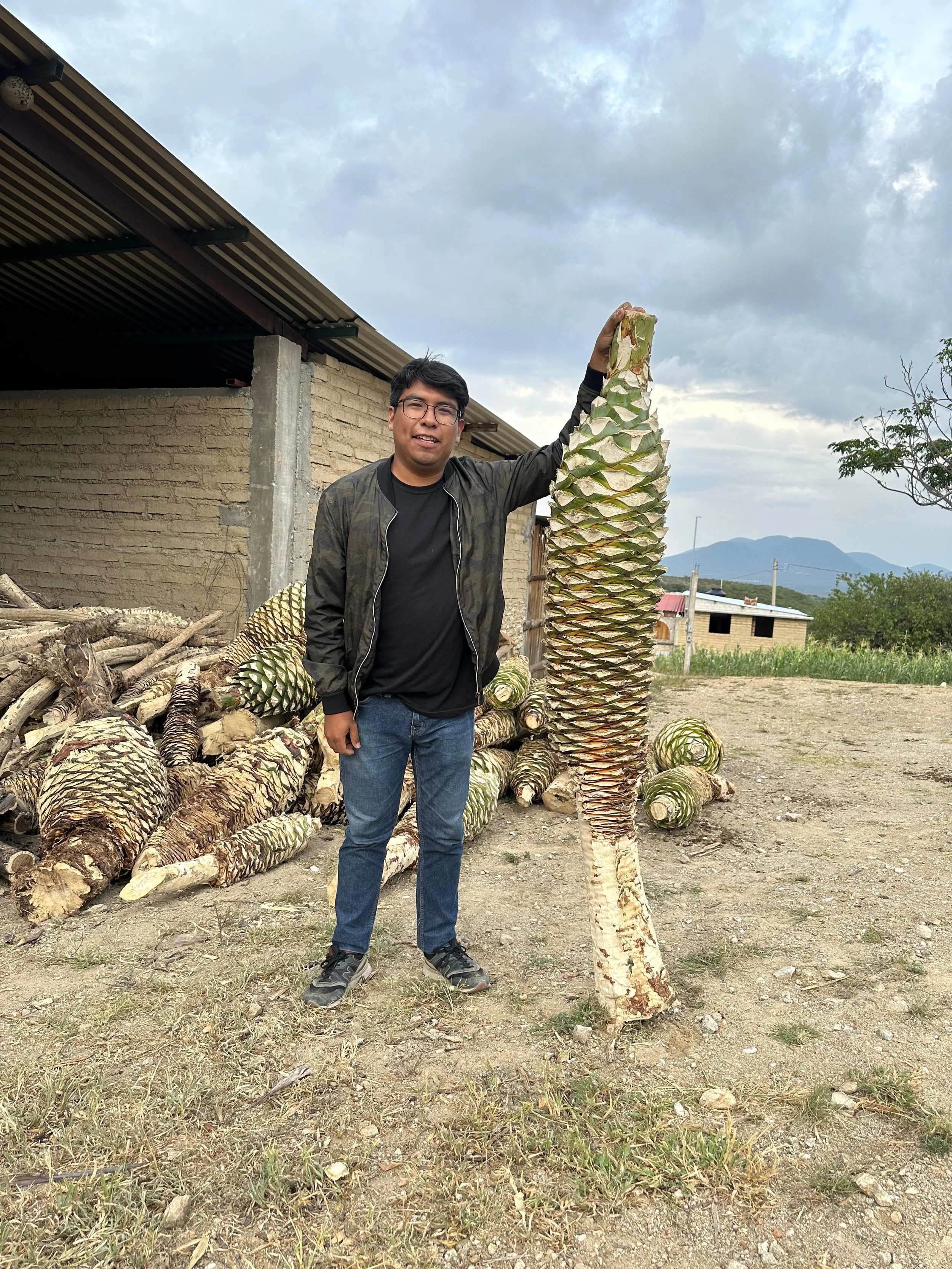 WhatsApp Image 2026-02-20 at 09.52.32.jpeg