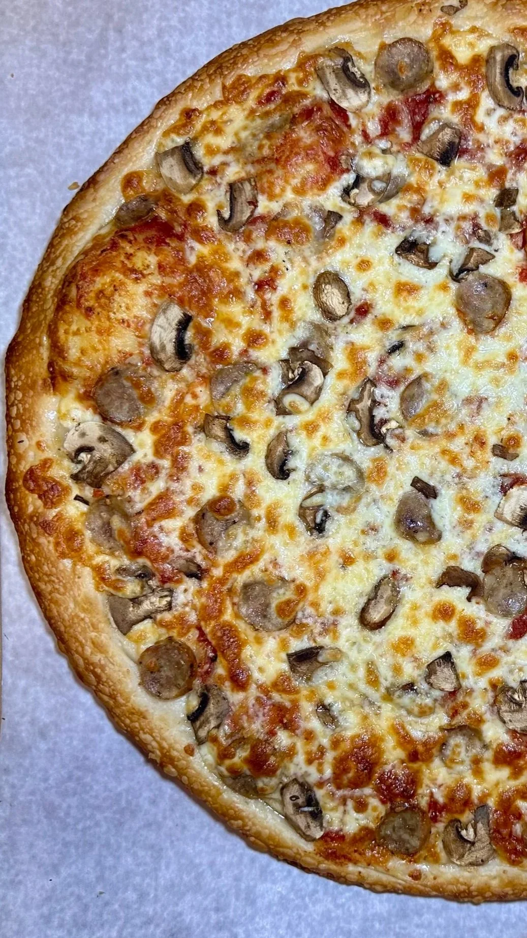 Large mushroom and cheese pizza in a cardboard box with parchment paper.