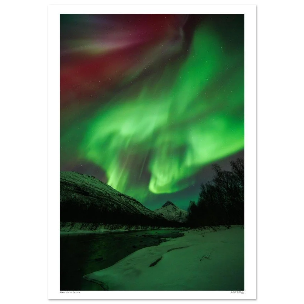 Signaldalen, Norway, Aurora - Premium Matte Paper Poster