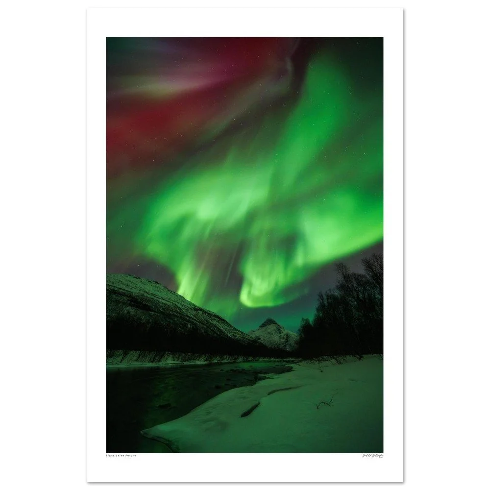 Signaldalen, Norway, Aurora - Premium Matte Paper Poster