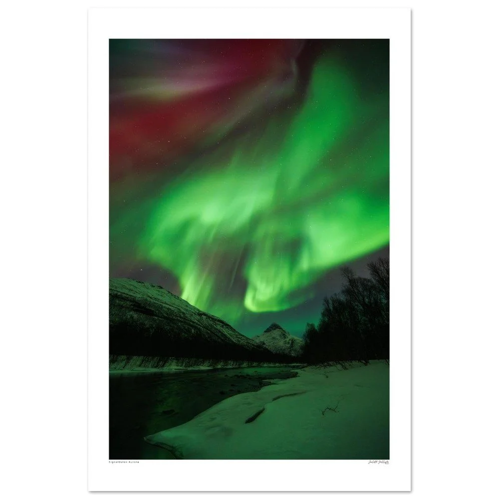 Signaldalen, Norway, Aurora - Premium Matte Paper Poster