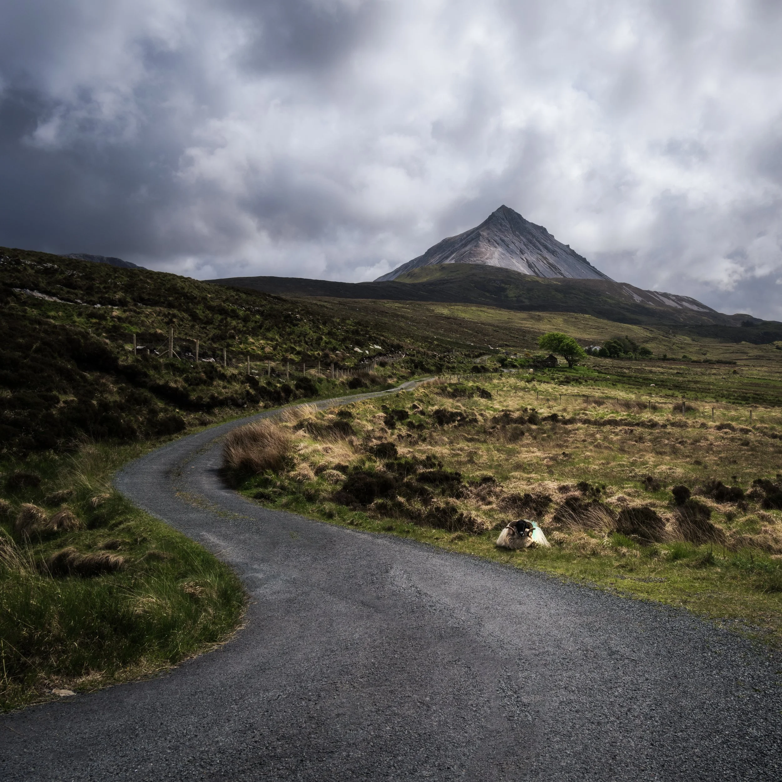 Bothar, Errigal, Donegal