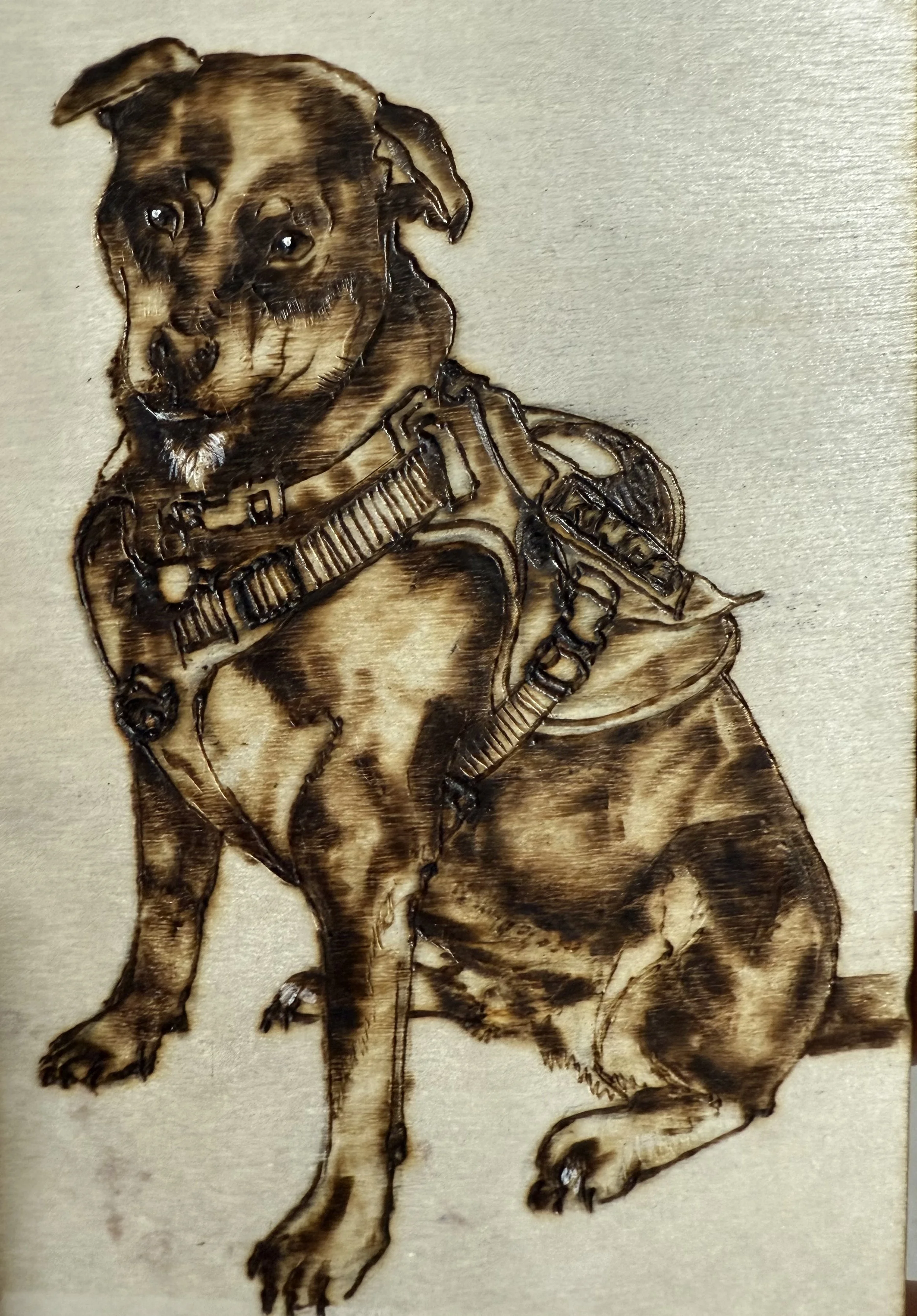 A detailed dog portrait created with burnt wood, showing a sitting dog with a harness, on a neutral background.