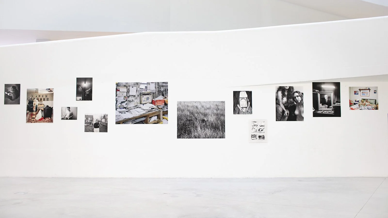 BigCameraShow_2025_13 copy.jpg