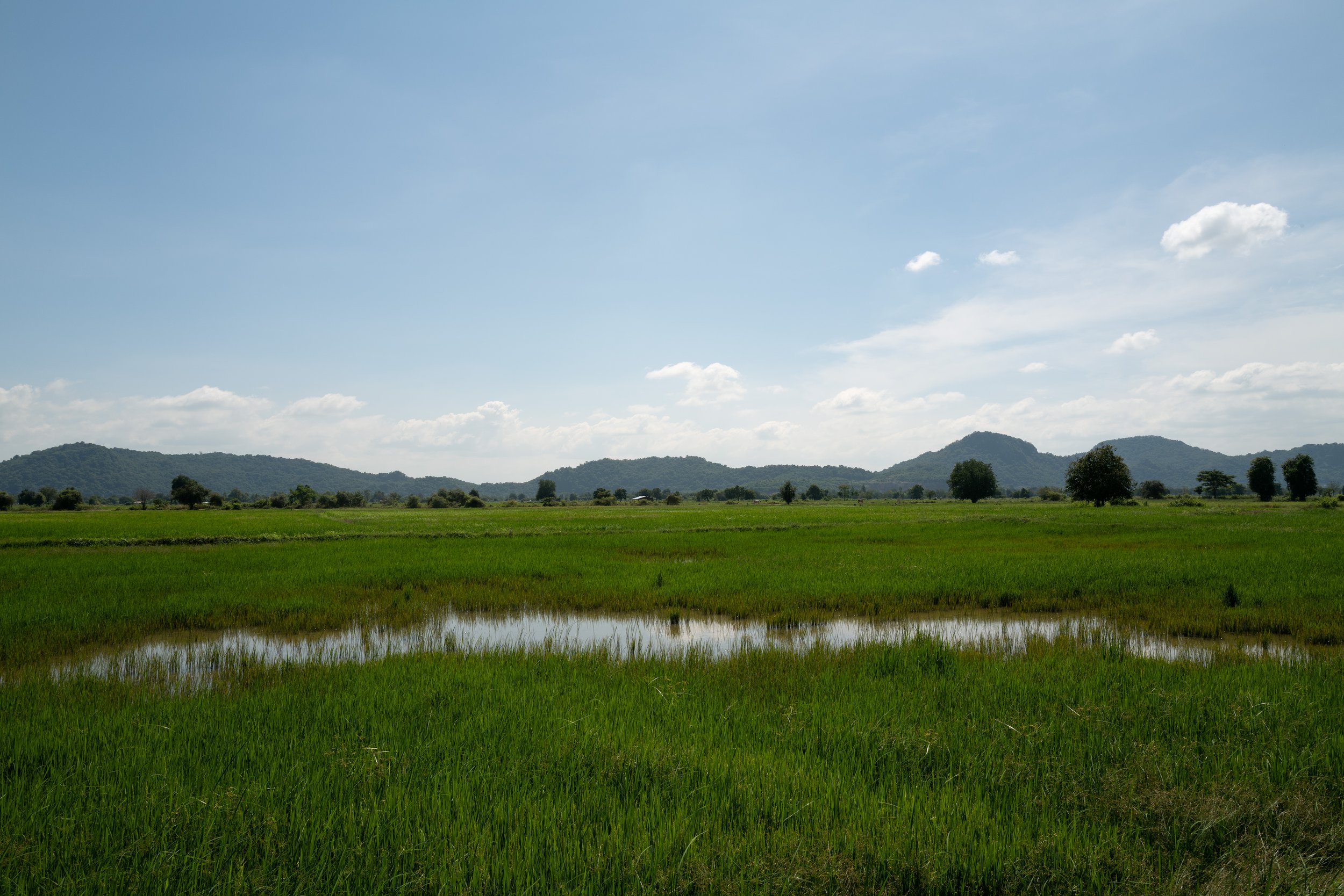 My Sisters Sleep in Battambang