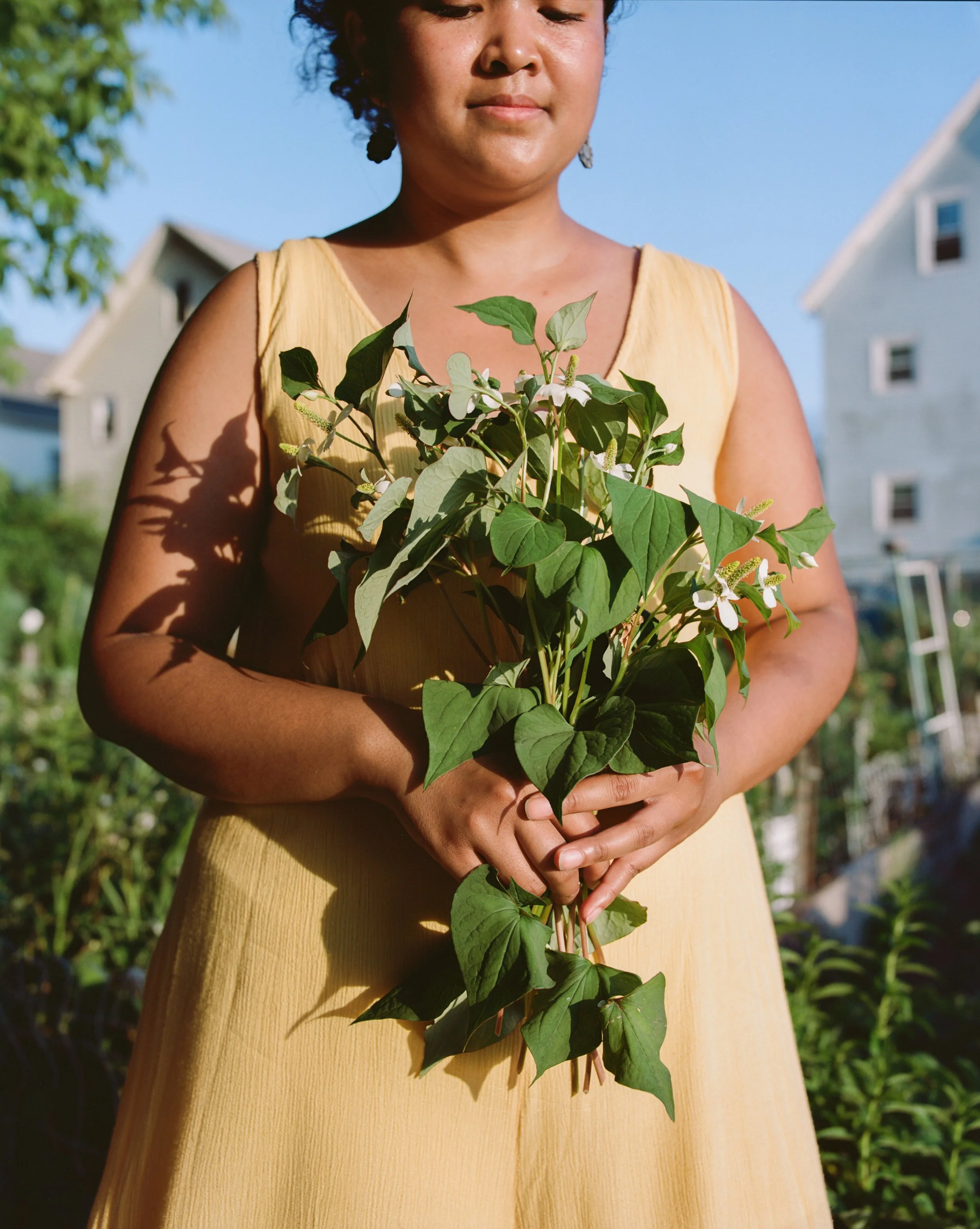 Tings-Garden-9.jpg