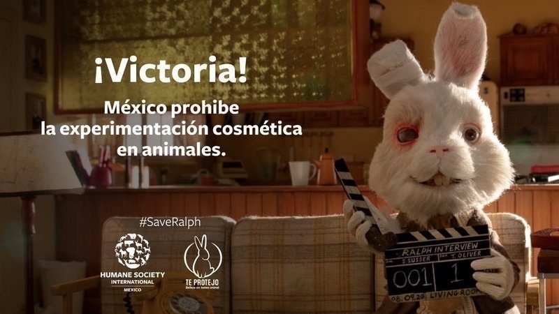 México prohibió las pruebas en animales con fines cosméticos
