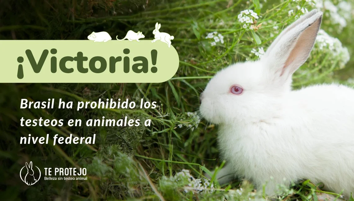 Brasil prohíbe las pruebas en animales para cosméticos a nivel federal