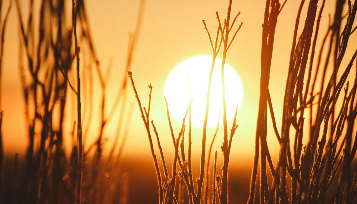 ¿Es necesario aplicar protección solar a diario?