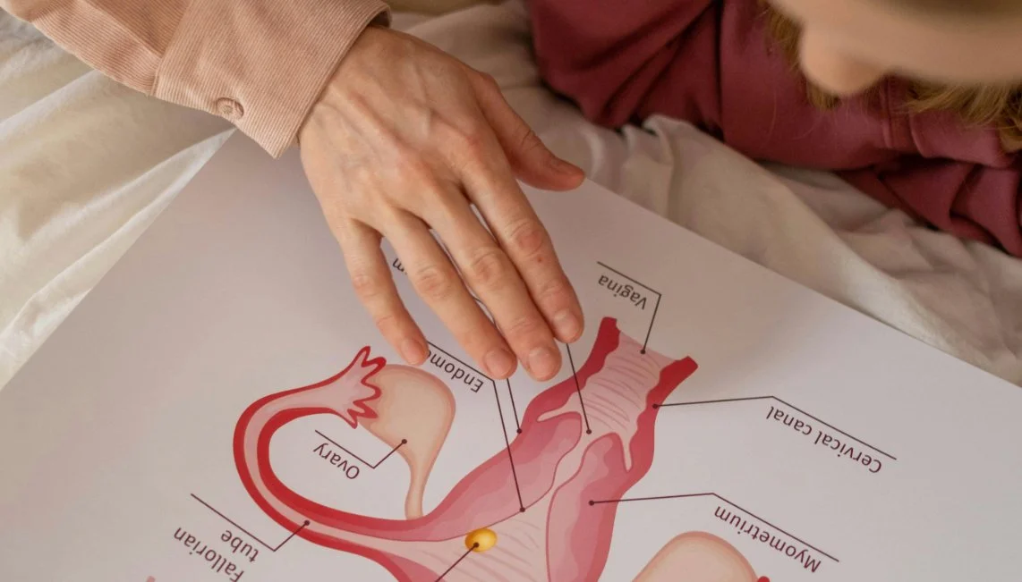 VITROFEM de LIALT: Test de Irritación Vaginal Alternativo