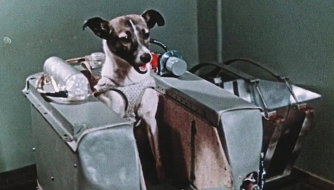 A 68 años del viaje de Laika