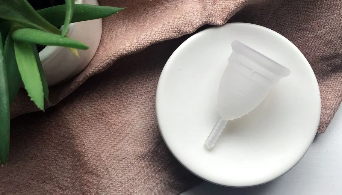 Argentina busca prohibir definitivamente las pruebas de cosméticos en animales