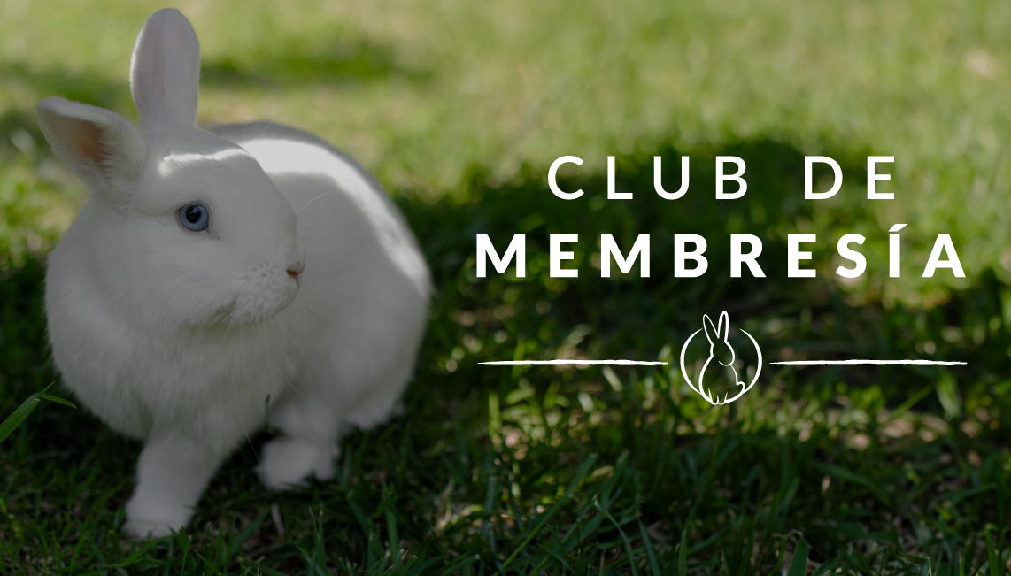 Conoce el Club de Membresía de Te Protejo